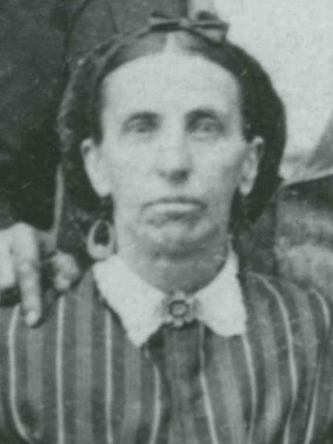 Esther Melita Johnson (1847 - 1926) Profile
